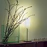 Tecnolumen TLWS Lampe de table translucide clair - conique - 18 cm - produit en situation