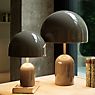 Tom Dixon Bell Table Lamp LED taupe application picture