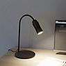 Top Light Neo! Lampe de table LED laiton/câble noir - produit en situation