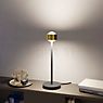 Top Light Puk! 80 Eye Avantgarde Lampada da tavolo LED rame spazzolato/nero opaco - lente opaco - immagine di applicazione