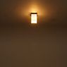 Top Light Quadro Lampada da soffitto senza  rosone - 8 cm - G9
