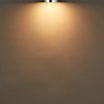 Top Light Vetro per Puk Maxx e Puk! 120 Avantgarde - Pezzo di ricambio Vetro morbido distribuzione morbida della luce