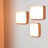Tunto Cube Wall-/Ceiling Light LED walnut - S application picture