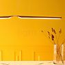 Tunto Swan Hanglamp LED eikenhout - Dali productafbeelding