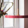Umage Asteria Pendant Light LED pink - Cover brass application picture
