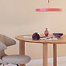 Umage Asteria Pendel LED lyserød - Cover messing ansøgning billede