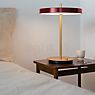 Umage Asteria Table Lamp LED fog white application picture