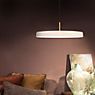 Umage Asteria, lámpara de suspensión LED antracita - Cover latón - ejemplo de uso previsto