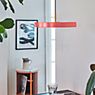 Umage Asteria, lámpara de suspensión LED gris pardo - Cover latón & negro - Edición especial - ejemplo de uso previsto