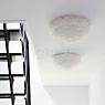 Umage Eos Up Lampada da soffitto/parete bianco - ø40 cm - immagine di applicazione