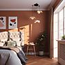 Umage Forget Me Not Pendant Light 3 lamps oak application picture