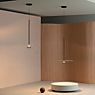 Vibia Flat Pendelleuchte LED 1-flammig grau - ø55 cm - Dali Anwendungsbild