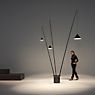 Vibia North Floor Lamp LED 3 lamps black application picture