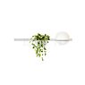 Vibia Palma Applique LED avec pot à plantes blanc