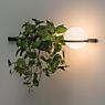 Vibia Palma Applique LED avec pot à plantes blanc - produit en situation