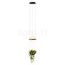 Vibia Palma Hanglamp LED met bloempot grafiet - 40 cm - casambi