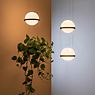 Vibia Palma Suspension LED 2 foyers blanc - 70 cm - produit en situation