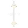 Vibia Palma Wall Light LED vertical - 2 lamps graphite - dali