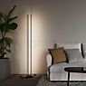 Wever & Ducré Finlin 1.0 Floor Lamp LED black matt application picture