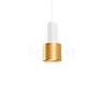Wever & Ducré Odrey 1.1 Pendel loftsrosette hvid/lampeskærm hvid/guld