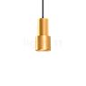 Wever & Ducré Odrey 1.1, lámpara de suspensión florón negro/pantalla dorado