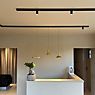 Wever & Ducré Odrey 1.2 Hanglamp plafondkapje zwart/lampenkap goud productafbeelding