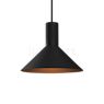 Wever & Ducré Odrey 1.6 Hanglamp plafondkapje zwart/lampenkap zwart