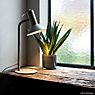 Wever & Ducré Roomor 1.0 Table Lamp grey application picture
