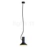 Wever & Ducré Roomor 1.1 Hanglamp zwart/goud - 2,5 m