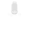Wever & Ducré Trace 1.0 Spot LED blanc - 3.000 K