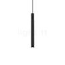Wever & Ducré Trace 1.1 Hanglamp LED zwart - 2.700 K