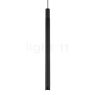 Wever & Ducré Trace 1.2 Hanglamp LED zwart - 2.700 K