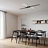 Wever & Ducré Trace Grid 2.0 Ceiling Light LED black matt/champagne application picture