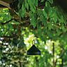 Zafferano Amelie Pendant Light LED black application picture