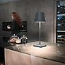Zafferano Poldina L Desk, lámpara recargable LED gris oscuro - ejemplo de uso previsto
