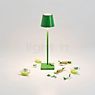 Zafferano Poldina, lámpara recargable LED verde - 27,5 cm - ejemplo de uso previsto