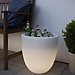 8 seasons design Shining Curvy Cooler Lampe de table