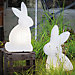 8 seasons design Shining Rabbit Bordlampe