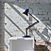 Anglepoise Original 1227 Brass Bureaulamp