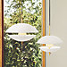 Clam Pendant Light