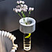 Foscarini Fleur Lampada da tavolo LED
