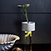 Foscarini Fleur Table Lamp LED