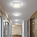 Helestra Cosi Ceiling Light LED
