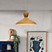 It's about RoMi Hanover Pendant Light