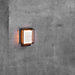 Nordlux Nestor Wall Light LED