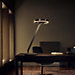 Occhio Gioia Tavolo Table Lamp LED