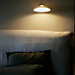 Plume Wall Light