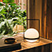 Vibia Palma Lampe de table LED