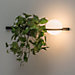 Vibia Palma Wall Light LED with Plant Pot